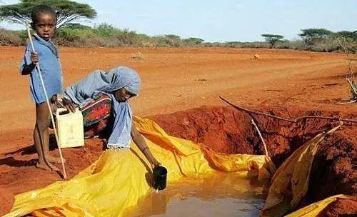 1530840301756894.jpg 2.jpg