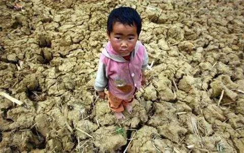 1530840406236685.jpg 8.jpg