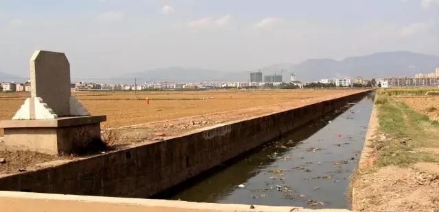 1530840456949253.jpg 10.jpg