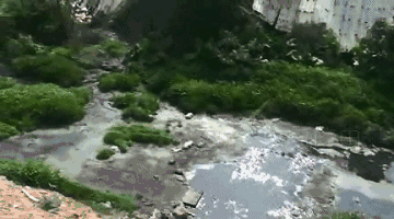 1530840429416240.gif 9.gif